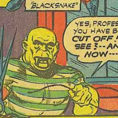 Black Snake