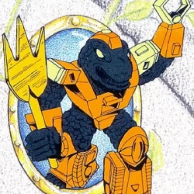 Black Turtle