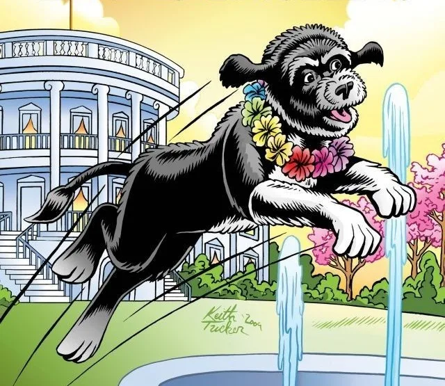 Bo Obama