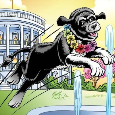 Bo Obama
