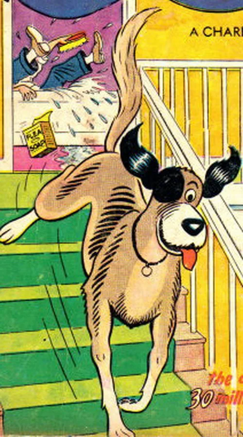 Bo the Dog