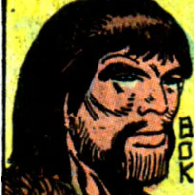 Bok