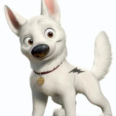 Bolt