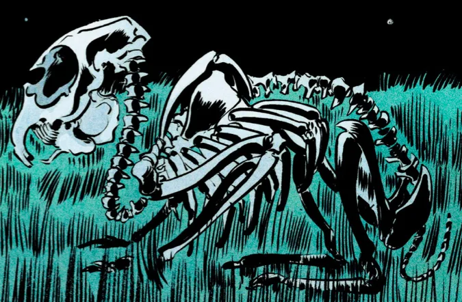 Bones Bunny