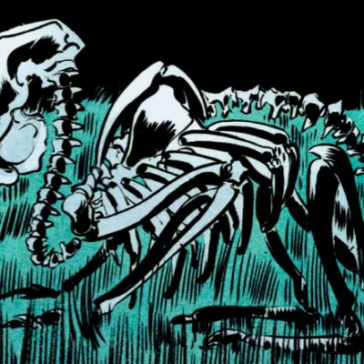 Bones Bunny