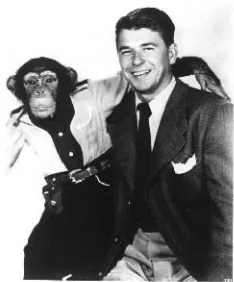 Bonzo
