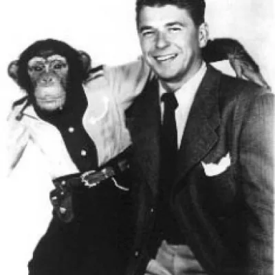 Bonzo