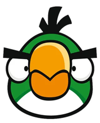 Boomerang Bird