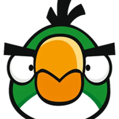 Boomerang Bird