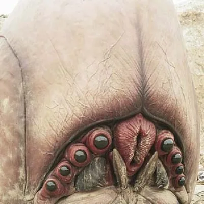 Brain Bug