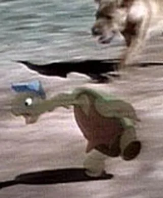 Brer Terrapin