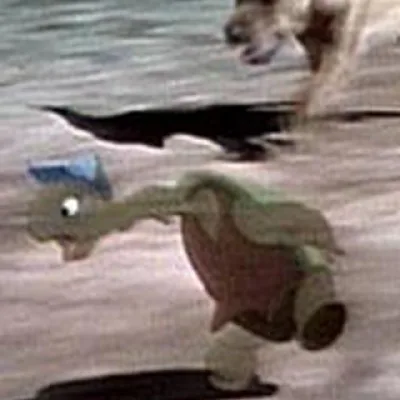 Brer Terrapin