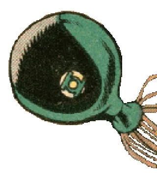 Brokk