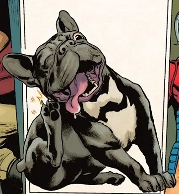 Bruce Wayne (dog)