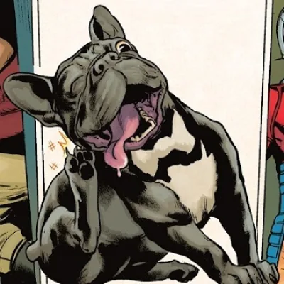 Bruce Wayne (dog)