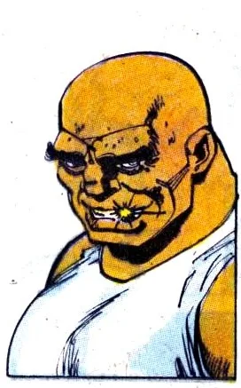 Bruiser