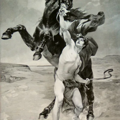 Bucephalus