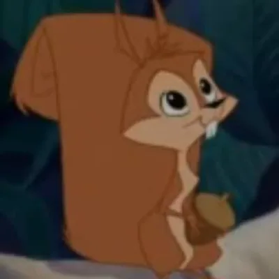 Bucky