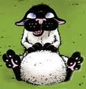 Bucky Katt