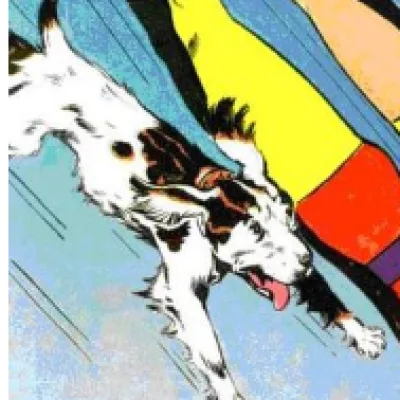Bulletdog