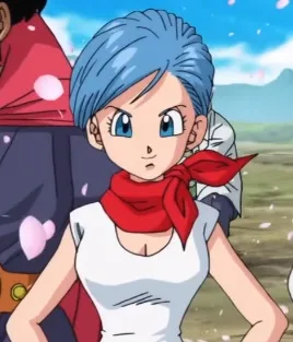 Bulma Briefs
