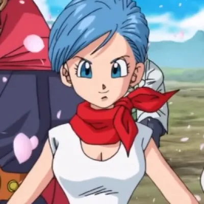 Bulma Briefs