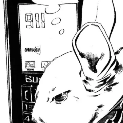 Bunny