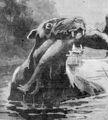 Bunyip