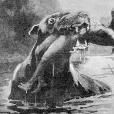 Bunyip