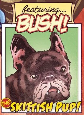 Bush the Skittish Pup