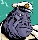 Captain Congo