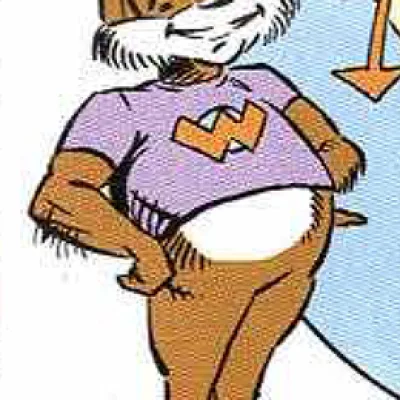 Captain Woodchuck