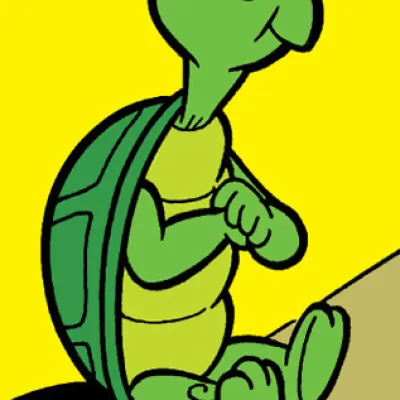 Cecil Turtle