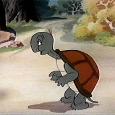 Cecil Turtle