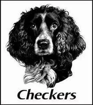 Checkers