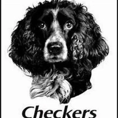 Checkers