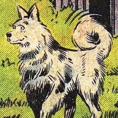Chelsea The Dog