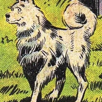 Chelsea The Dog