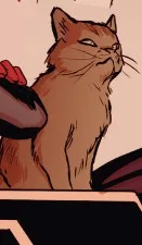 Chewie