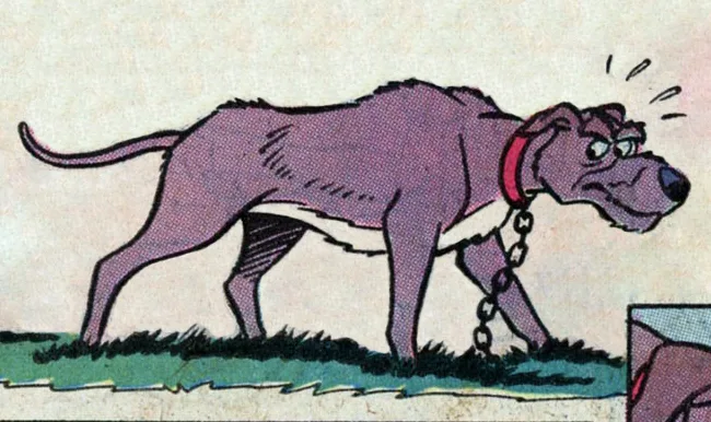Chief the Hound