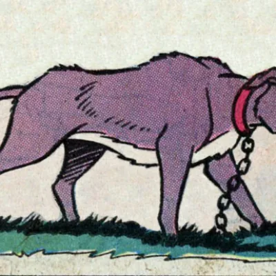 Chief the Hound