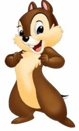 Chip