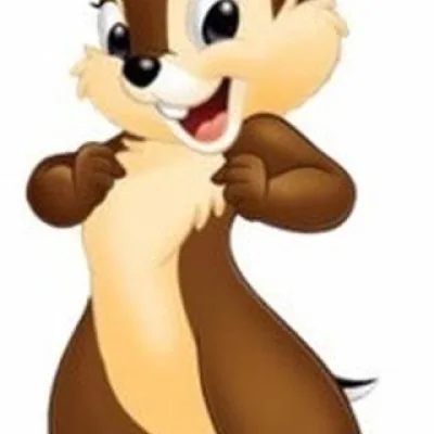 Chip