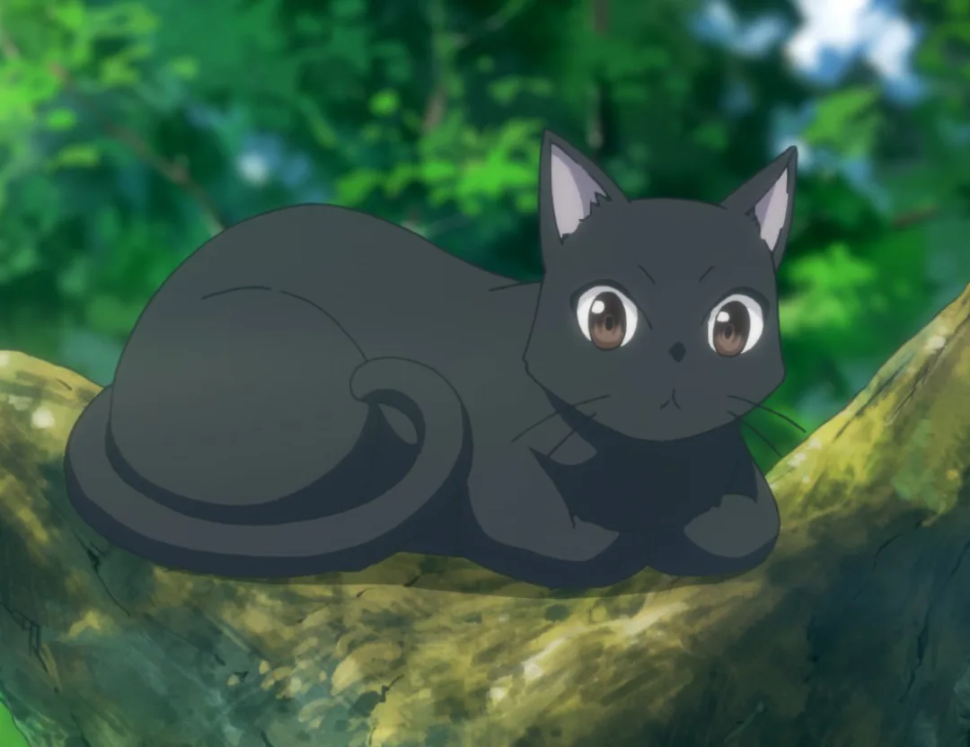 Chito
