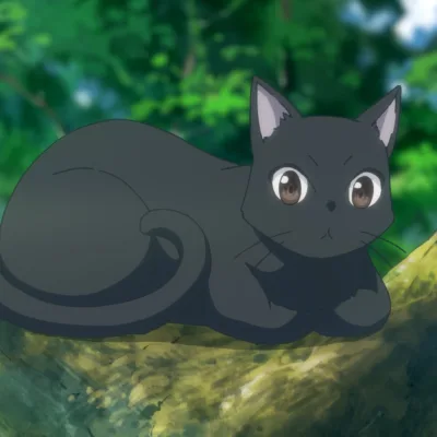 Chito