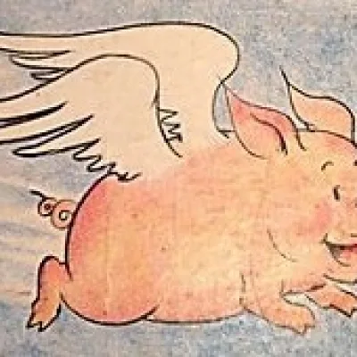 Clementina the Flying Pig