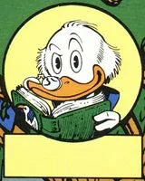 Clinton Coot