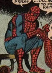 Cobweb Kid