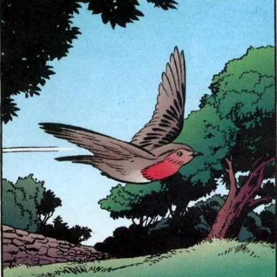 Cock Robin