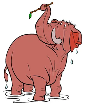 Colonel Hathi